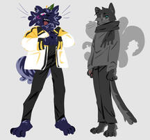 furry dingo oma